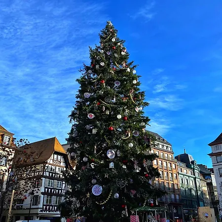 Appartement Les Jardiniers Straatsburg