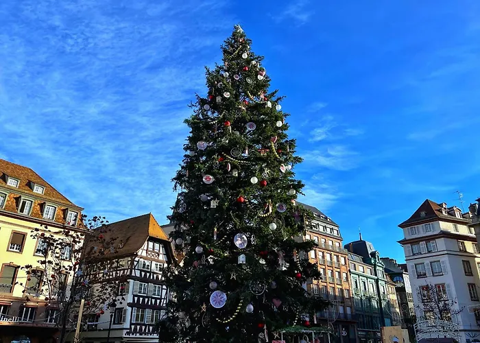 Appartement Les Jardiniers Straatsburg